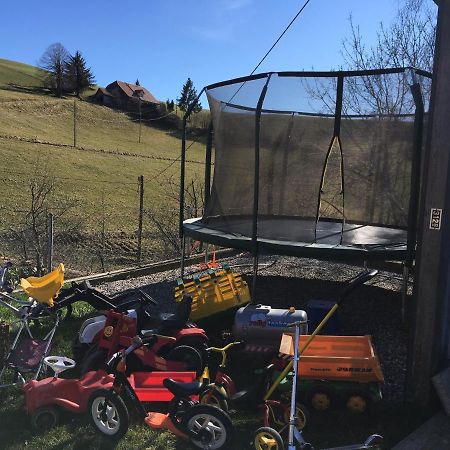 3,5 Zimmerferienwohnung Schwalbenaescht Rueeggisberg 外观 照片